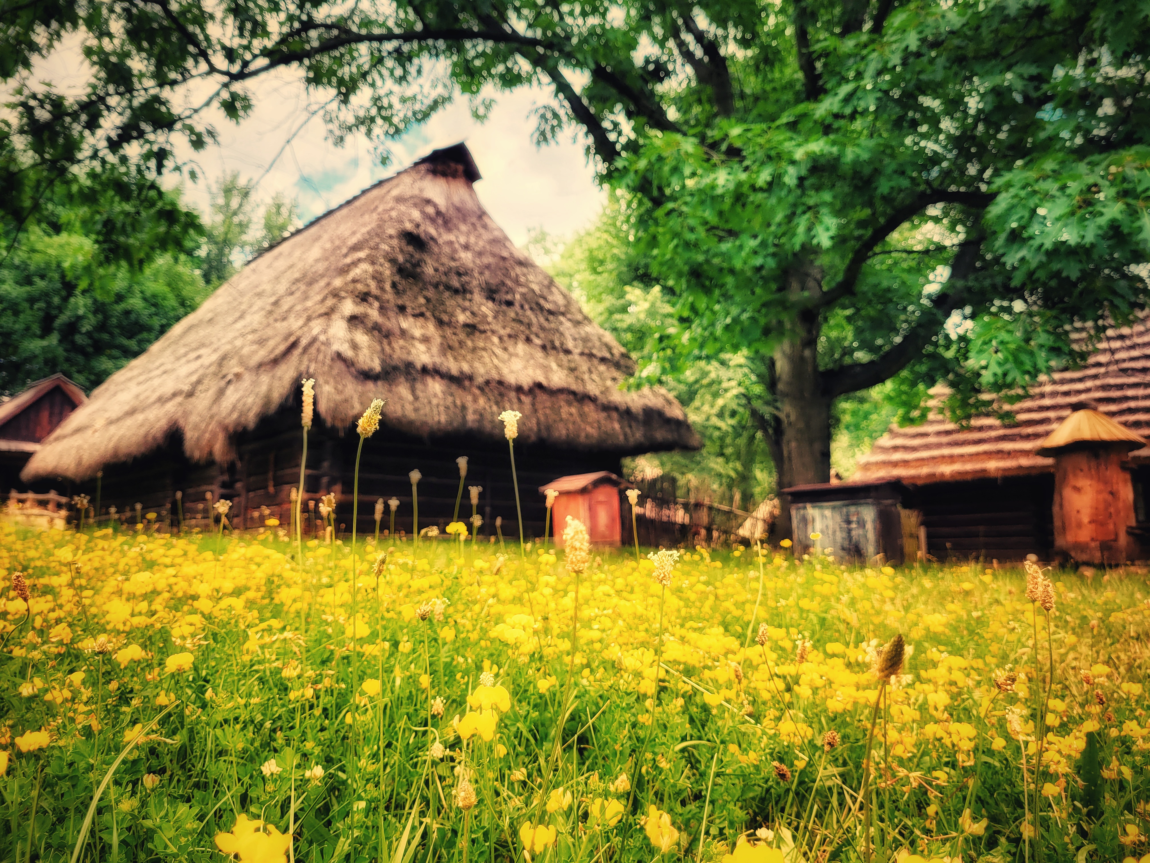 Muzeum Górnośląski Park Etnograficzny w Chorzowie