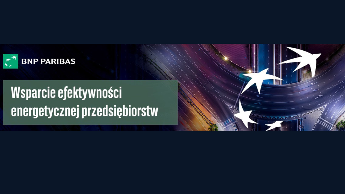 Grafika ozdobna z napisem: wsparcie efektywności energetycznej przedsiębiorstw