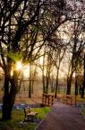 Grabek Park after revitalization